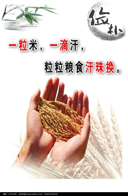 明斯特造型艺术学院diploma购买